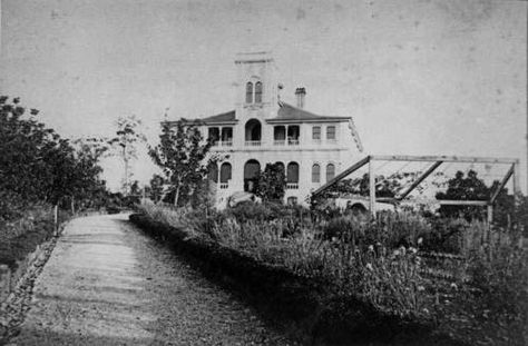 Old Mansions for Sale | Brynhyfryd Mansion Ipswich date unknown 2- State Library of Qld | Old ... Old Mansions For Sale, Ipswich Qld, Old Mansions, Brisbane Queensland, Mansions For Sale, Coal Mining, Queensland Australia, Historic Home, Living Well