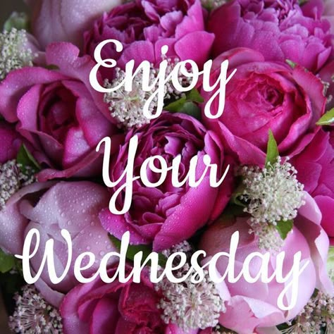 Enjoy Your Wednesday wednesday wednesday quotes happy wednesday wednesday image quotes wednesday images wednesday pics Wednesday Pics, Wednesday Morning Images, Quotes Wednesday, Happy Wednesday Pictures, Wednesday Morning Greetings, Wednesday Images, Wednesday Hump Day, Wednesday Morning Quotes, Wednesday Greetings