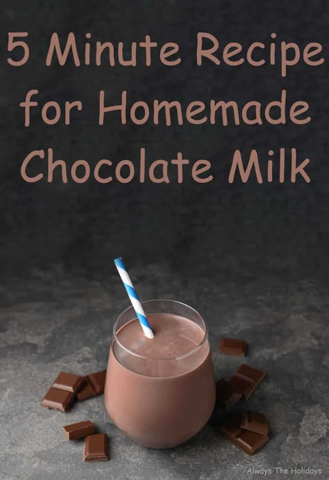 National Chocolate Milk Day - Plus a Recipe for Homemade Chocolate Milk Chocolate Milk Syrup, Homemade Chocolate Milk, Chocolate Milk Mix, Homemade Chocolate Syrup, Milk Chocolate Recipes, Exercise Food, Drinking Chocolate, Milk Syrup, Vanilla Bean Ice Cream