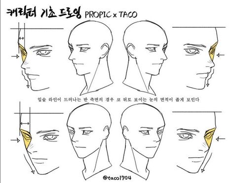 when drawing a 3/4 where the lip line protrudes, the eye behind the nose has a smaller surface area 얼굴 드로잉, Anatomy Tutorial, Face Drawing Reference, Drawing Heads, Anatomy Sketches, Reference Drawing, Body Reference Drawing, Different Angles, Anatomy Drawing