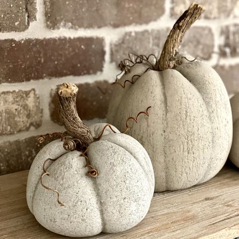 DIY Concrete Pumpkins - Cali Girl In A Southern World Cement Pumpkins, Concrete Pumpkins, Pumpkins Diy, Decoration Beton, Fall Pumpkin Crafts, Concrete Bowl, Concrete Diy Projects, Diy Concrete, Concrete Crafts