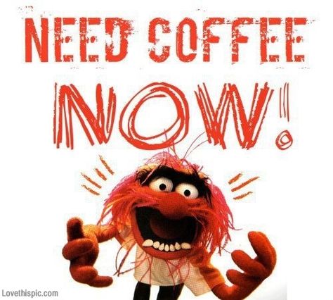 Need Coffee Now Pictures, Photos, and Images for Facebook, Tumblr, Pinterest, and Twitter Coffee Laughs, Coffee Sayings, Happy Week End, Fraggle Rock, Coffee Talk, Coffee Obsession, Need Coffee, Coffee Is Life, Blue Whale