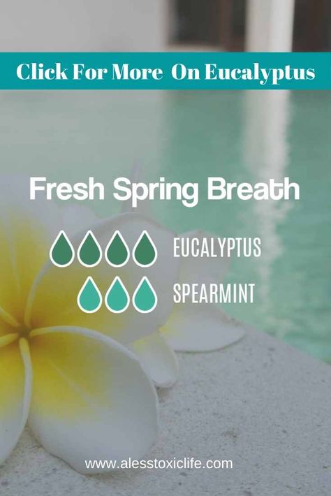 Eucalyptus Spearmint Essential Oil Blend, Eucalyptus Essential Oil Blends, Spearmint Diffuser Blends, Benefits Of Eucalyptus, Air Diffuser, Essential Oils For Pain, Essential Oil Diffuser Blends Recipes, Spearmint Essential Oil, Diy Perfume