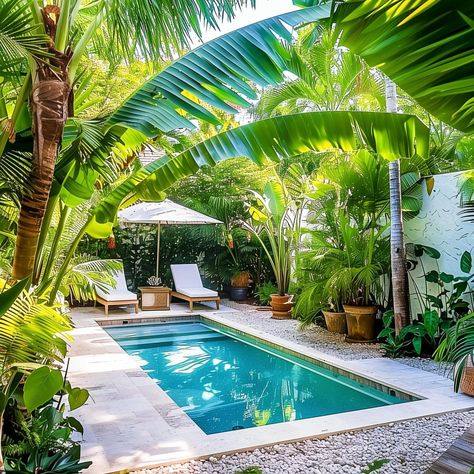 Backyard Tropical Oasis Ideas, Pool Entertainment Area, Coastal Backyard, Paradise Aesthetic, Small Pools Backyard, Florida Backyard, Coconut Aesthetic, Pool Oasis, King Room