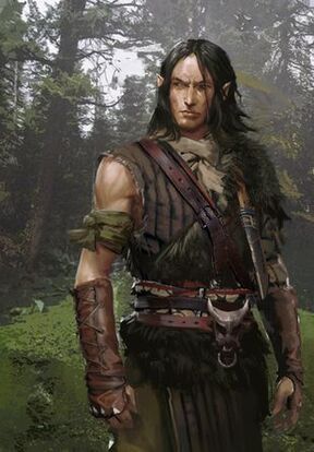 Scoia Tael, Elf Ranger, Male Elf, Wood Elves, Elf Characters, Witcher Art, Half Elf, Fantasy Heroes, Wood Elf