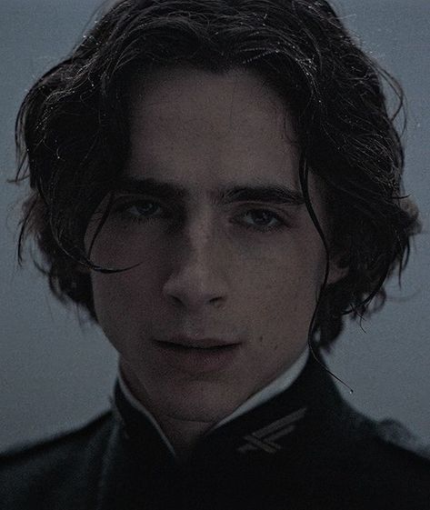 Regulus Acturus Black, Dune Movie, French Boy, Paul Atreides, French Boys, Timmy T, Black Icon, Regulus Black, Dark And Twisted