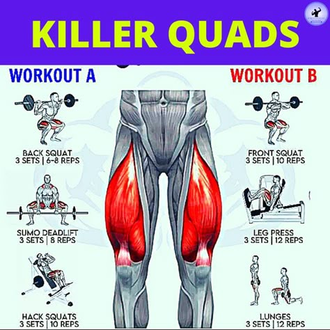 Inner Quads Workout, Teardrop Quad Workout, Leg Killer Workout, Quad Excersizes, Building Quads Muscles, Massive Quads Workout, Quads Before And After, How To Get Bigger Quads, Quad Muscle Exercises