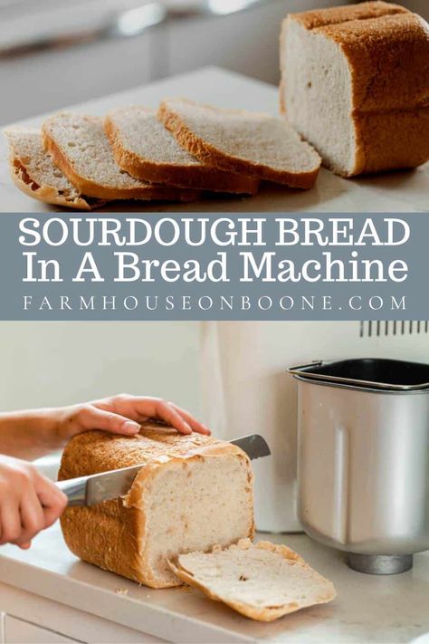 Sour Dough Bread Machine Recipe, Bread Machine Sourdough, Sourdough Bread Machine, Bread Machine Recipes Healthy, Soft Sourdough Bread, Savory Rolls, Bread Machine Recipes Sweet, Easy Bread Machine Recipes, Recipe Using Sourdough Starter