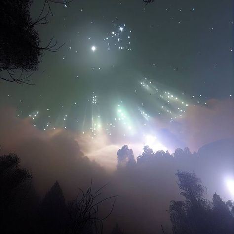 The Night Sky, Night Sky, Fireworks, Trees, For Free, Instagram