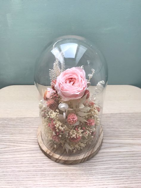 Rose D, Flower Business, Glass Cloche, Preserved Flowers, Dried Floral, Pretty Stuff, Glass Dome, How To Preserve Flowers, Room Ideas Bedroom