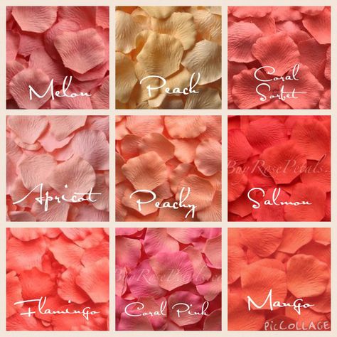 500 Coral Silk Rose Petals Shades of Coral by BuyRosePetals Fake Rose Petals, Color Names Chart, Wedding Venues Church, Coral Wedding Colors, Color Knowledge, Silk Rose Petals, Color Mixing Chart, Coral Wedding, Wedding Theme Colors