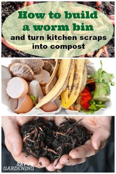 Earthworm Farm, Indoor Composting, Worm Farm Diy, Worm Farms, Apartment Composting, Worm Beds, Earth Worm, Worm Composting Bin, Composting Ideas