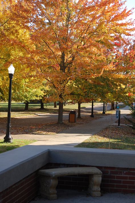 Friday Afternoon. Fall. Tennessee Technological University. Cookeville, TN. 11.1.13 James E. Akenson pict jakenson@tntech.edu Fall In East Tennessee, Fall In Tennessee Autumn, Tennessee Woods, Tennessee Nature, Cookeville Tennessee, Knocksville Tn, Forest Falls, East Tennessee, Autumn Beauty