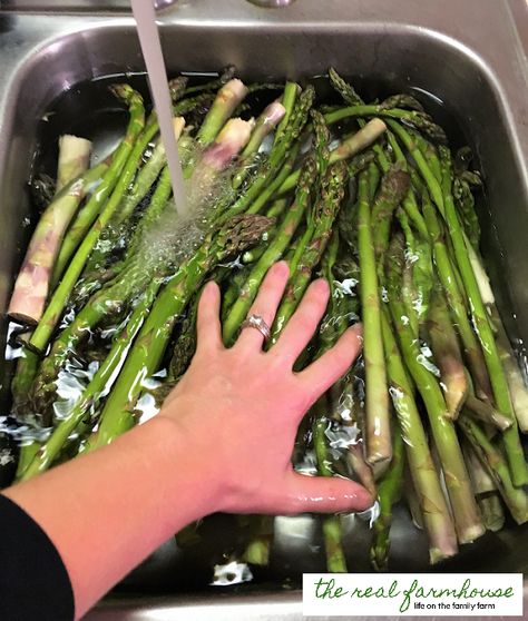 Asparagus Freezer Recipes, What To Do With Asparagus, How To Freeze Asparagus, Freezing Asparagus, Freezing Veggies, Wild Asparagus, Asparagus Recipes Oven, Best Asparagus Recipe, Grilled Asparagus Recipes