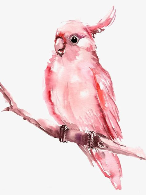 hand-painted parrot,cartoon parrot,pink parrot,birds,hand-painted,parrot,cartoon,pink,parrot clipart Suren Nersisyan, 수채화 그림, Pink Bird, Abstract Canvas Painting, Bird Drawings, Watercolor Bird, Watercolor Animals, Birds Painting, Bird Art