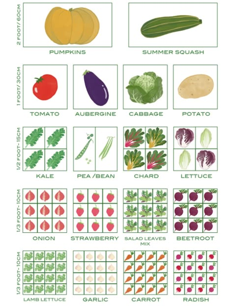 SQUARE FOOT GARDEN - FOOD GROWING TIPS - Wen Vegetable Garden Design Plans Drawing Layout, Square Metre Vegetable Garden, Square Food Garden Plan, Garden Bed Planning, 10 X 20 Garden Layout, Vegetable Bed Layout, Veg Garden Ideas Layout, Sq Ft Gardening, 6x6 Garden Layout