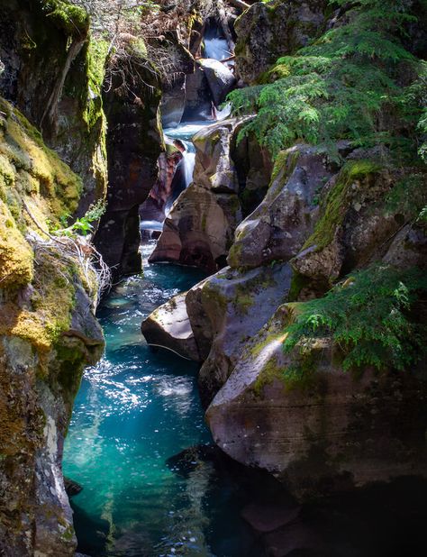 Avalanche Creek in Glacier National Park Biscayne National Park, Indiana Dunes National Park, Congaree National Park, Gunnison National Park, Guadalupe Mountains National Park, Carlsbad Caverns National Park, Cuyahoga Valley National Park, Dry Tortugas National Park, Glacier Bay National Park