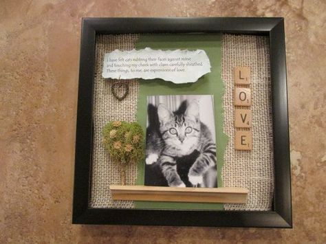 Cat Memorial Ideas, Pet Memorial Diy, Shadow Box Ideas, Cat Shadow, Pet Frame, Memorial Ideas, Pet Remembrance, Custom Memorial, Pet Loss Gifts