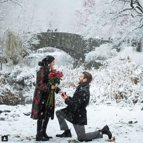 Proposal Ideas Winter, Wedding Proposal Ideas, Surprise Proposal Pictures, Cute Proposal Ideas, Winter Proposal, Christmas Proposal, Proposal Pictures, Engagement Season, Proposal Photography