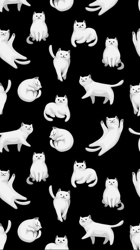 Cat Lovers Wallpaper, Wallpaper Backgrounds Black, Cat Pattern Wallpaper, Cat Phone Wallpaper, Backgrounds Black, Cat Background, Cute Cat Wallpaper, Wallpaper Cat, Hippie Wallpaper