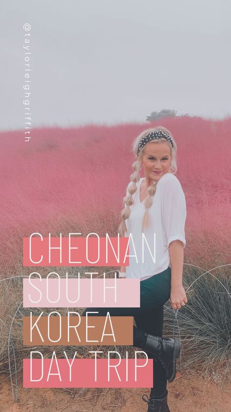 Cheonan South Korea, Cheonan, Pink Cafe, Independence Hall, Army Wife, The Perfect Day, Perfect Day, Day Trip, The Pink