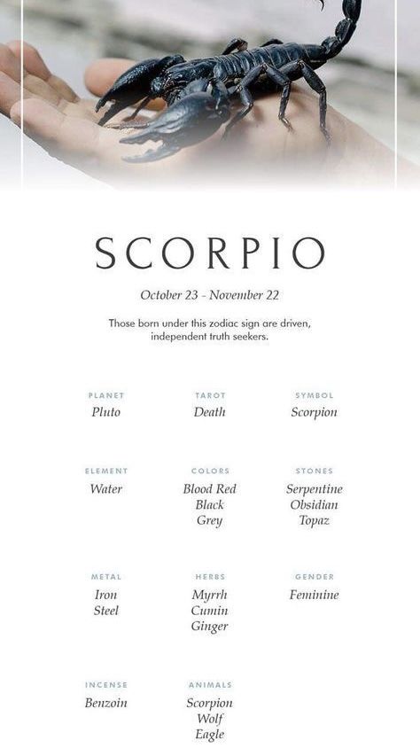 Scorpio Lucky Numbers, Niece Tattoo, Scorpio Zodiac Tattoos, Zodiac Signs Elements, Scorpio Personality, Scorpio Women, Scorpio Art, Zodiac Quotes Scorpio, Good Morning Gorgeous