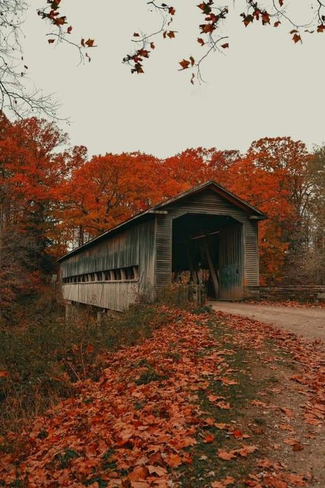 Country Fall Aesthetic, Ohio Countryside, Ohio Aesthetic, County Aesthetic, Ohio Fall, Fall Widgets, Autumn Countryside, Ashtabula County, Farm Humor