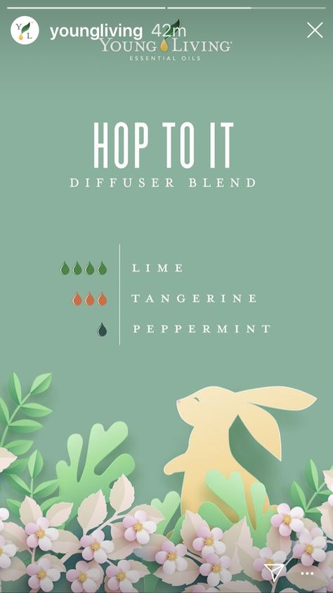 Young Living Diffuser Recipes, Spring Diffuser Blends, Essential Oil Combinations, Doterra Essential Oils Recipes, Essential Oil Diffuser Blends Recipes, Young Living Essential Oils Recipes, Lime Essential Oil, Essential Oils Guide, Essential Oil Diffuser Recipes