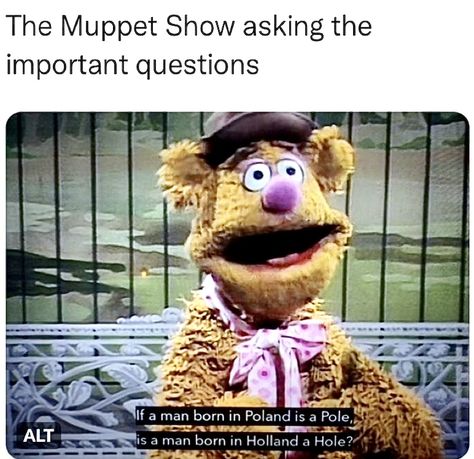 Funny Muppets Memes, Muppet Memes Hilarious, Muppets Tumblr, Muppet Meme, Muppets Fanart, Muppets Quotes, Muppets Funny, Muppet Christmas, Muppets Most Wanted