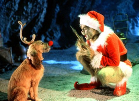 Grinch Videos, O Grinch, Der Grinch, The Grinch Movie, Best Christmas Movies, Grinch Christmas Decorations, In Memes, Grinch Stole Christmas, Jim Carrey