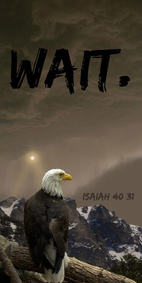 Isaiah 40 31 Wallpaper, Bible Verse Background, Jesus Artwork, Bible Words Images, Isaiah 40 31, Bible Quotes Wallpaper, Bible Quotes Images, Jesus Christ Art, Ayat Alkitab