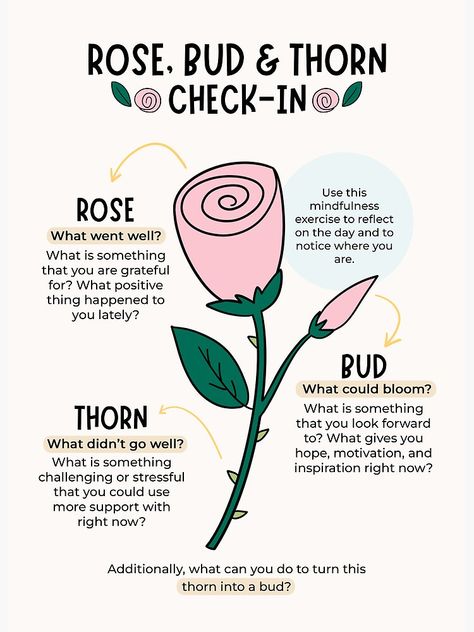 "Rose, Bud, and Thorn Check-In" Art Board Print for Sale by PKindThoughts | Redbubble Rose Bud Thorn, Mental Health Activities, Mental Health Therapy, Mindfulness Exercises, Therapy Counseling, Counseling Resources, Emotional Awareness, Therapy Worksheets, Group Therapy