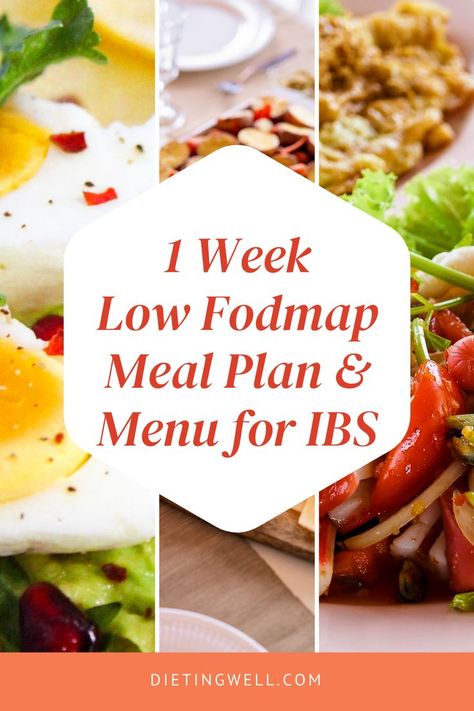 Low Fodmap Meal Prep Recipes, Low Fodmap Diet Meal Plan, Low Fodmap Weekly Meal Plan, Fodmap Meal Plan For Beginners, Easy Low Fodmap Meal Plan, Low Food Map Meal Plan, Foods For Ibs Diet Plans, Ibs C Diet, Low Fodmap Rice Recipes