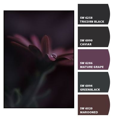 Gothic Bathroom Paint Colors, Sherwin Williams Black Purple, Sherwin Williams Blackberry Paint, Sherwin Williams Blackberry, Gothic Paint Colors, Goth Color Pallet, Goth Color Palette, Witchy Color Palette, Dark Purple Paint