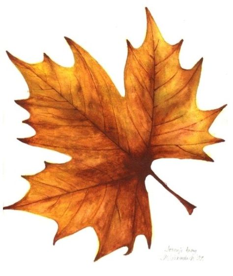 Aesthetic Thanksgiving, Nails Thanksgiving, Autumn Leaves Art, Design Home Ideas, Leaf Template, Home Decor Wallpaper, Home Painting, 수채화 그림, Wallpaper Home Decor