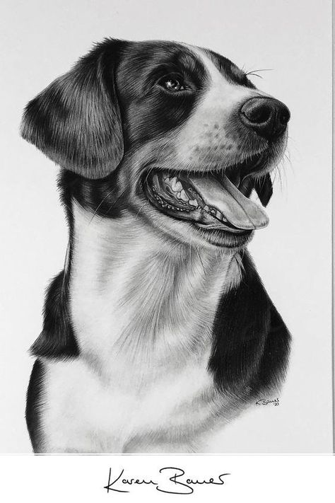 Detailed Art Sketches, Dog Pencil Drawings Sketches, Detailed Pencil Drawings, Dog Realistic Drawing, Animal Portraits Art Drawings, Pencil Sketches Portrait, Animal Realistic Drawing, Animals Pencil Sketch, Best Pencil Drawing Images