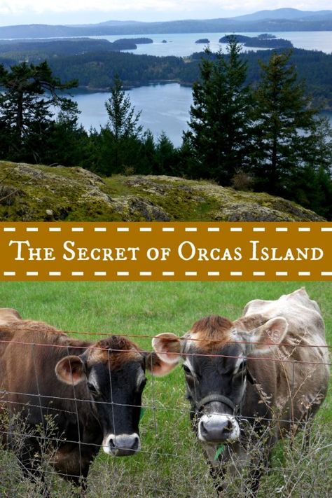 The Best Kept Secret on Orcas Island, San Juan County, Washington | The Good Hearted Woman #expereinceWA #travel #traveladventures #familytravel #travelusa #usatravel #washington #travelwashington #washingtontravel #orcasisland #sanjuanislands #orcas #seattle #pacificnorthwest #camping #washington #pnw Orca Island Washington, San Juan Islands Washington, Washington Trip, Usa Destinations, Washington Travel, Orcas Island, Globe Travel, San Juan Islands, Us Destinations