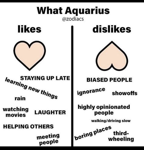 Flakey People, Soft Energy, Aquarius Aesthetic, Aquarius Truths, Aquarius Life, First Meet, Aquarius Quotes, Aquarius Horoscope, Likes And Dislikes