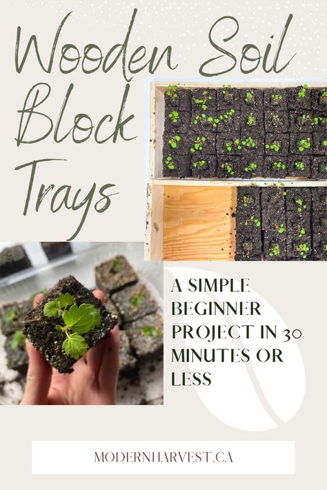 Diy Seed Starter Trays, Diy Seedling Tray, Diy Soil Blocker, Diy Seed Starting Tray, Soil Blocking, Garden 101, Companion Planting Guide, Cabin Garden, Seed Starting Soil