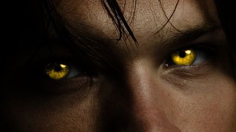 Ace Aesthetic, Hawke Dragon Age, Voodoo Magic, Werewolf Aesthetic, Golden Eyes, Aesthetic Eyes, Gold Eyes, Yellow Eyes, 판타지 아트