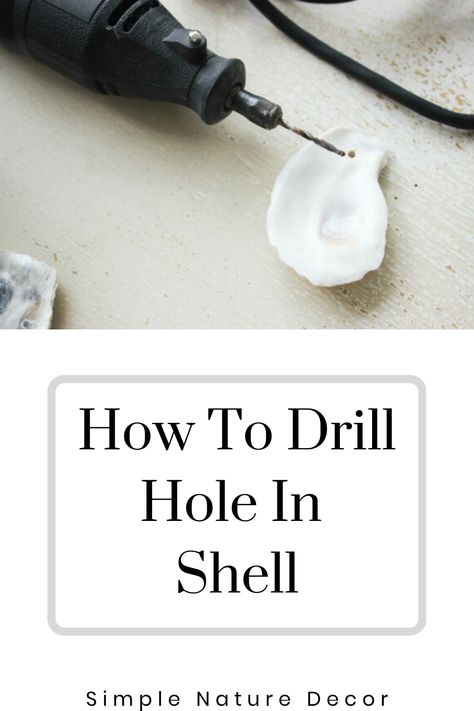 How To Drill A Hole In Sea Shells, Oyster Shell Earrings Diy, How To Put A Hole In A Shell, Drilling Holes In Shells, How To Drill Holes In Oyster Shells, Mussell Shell Crafts, How To Drill Hole In Oyster Shell, How To Drill A Hole In An Oyster Shell, How To Drill A Hole In A Seashell