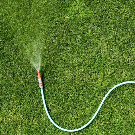 When Is the Best Time to Water My Grass? Farm Tips, Small City Garden, Water Grass, Soaker Hose, Healthy Lawn, Garden Hoses, Lawn And Landscape, Better Homes And Garden, Green Lawn