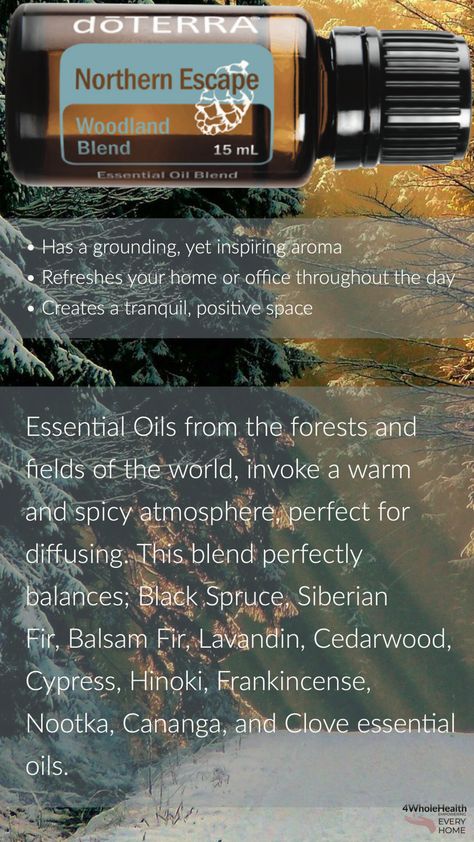 More information on Northern Escape: Doterra Northern Escape, Doterra Essential Oils, Essential Oil Blends, Doterra, Oil Blend, Healthy Choices, More Information, Essential Oil, Essential Oils