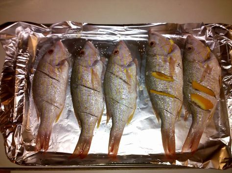 In February, I went with my family to Exuma, Bahamas.  We had lots of great experiences, and the memories of Exuma have come back to Minnesota with us in many forms, including the food.  We were fo… Yellowtail Snapper Recipe, Conch Chowder, Cracked Conch, Conch Salad, Snapper Fish Recipes, Snapper Fish, Cooking Torch, Conch Fritters, Snapper Recipes