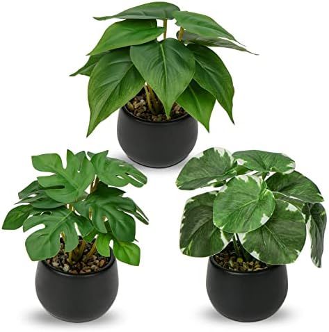 Briful Set of 3 Small Fake Plants in Ceramic Pot, Monstera Faux Potted Plants, Pilea Artificial Plants Scindapsus Aureus Plants Artificial for Home Kitchen Bathroom Decor Check more at https://uk.productsoffer.in/briful-set-of-3-small-fake-plants-in-ceramic-pot-monstera-faux-potted-plants-pilea-artificial-plants-scindapsus-aureus-plants-artificial-for-home-kitchen-bathroom-decor/ Scindapsus Aureus, Faux Potted Plants, Pilea Plant, Coastal Farmhouse Kitchen, Leaf Veins, Table Room, Artificial Leaves, Green Charms, Greenery Decor