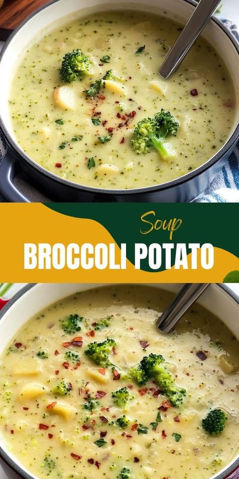 🥦🥔 Broccoli Potato Soup: Creamy, Cozy & Deliciously Healthy! 🧄✨   Looking for a comforting, nutrient-packed soup? This Broccoli Potato Soup is thick, creamy, and filled with hearty potatoes and fresh broccoli. 🌟 Perfect for a cozy lunch or dinner, it’s an easy-to-make, one-pot recipe that’s both satisfying and healthy!  👉 Save this Pin and warm up with a bowl of goodness today! 💚   #BroccoliPotatoSoup #ComfortFood #HealthySoups #VegetarianRecipes #EasyDinners Brocolli Potato Soup, Potato Soup Creamy, Broccoli Potato Soup Recipes, Broccoli Soup Healthy, Broccoli Potato Soup, Broccoli Potato, Creamy Broccoli Soup, Broccoli And Potatoes, Soup Creamy