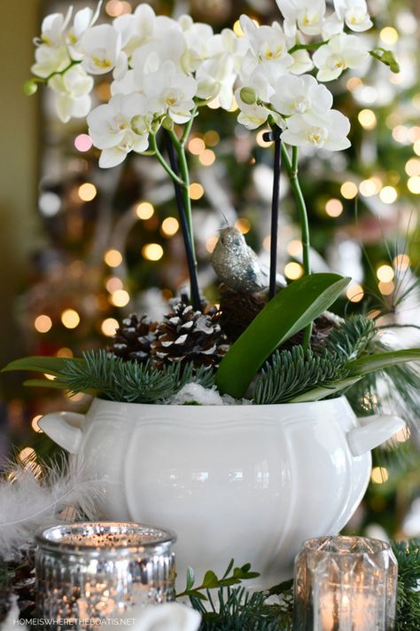 Create a winter flower arrangement using an orchid, giving it a snowy white setting as a centerpiece.   I had a blog challenge to create a "Winter White Flower Arrangement". Boy, was it a challenge when I went to search for white flowers at my area grocery stores the beginning of January and there were none to be found. . . as if all the stores had gone on a flower diet after all the holiday blooming and bingeing!   I decided to use what I had, my white Phalaenopsis Orchid, a gift I re… Winter Flower Arrangements, Winter Decor Ideas, White Floral Arrangements, White Flower Arrangements, Winter Arrangements, Winter Decorating, Orchid Arrangements, Winter Floral, Winter Ideas