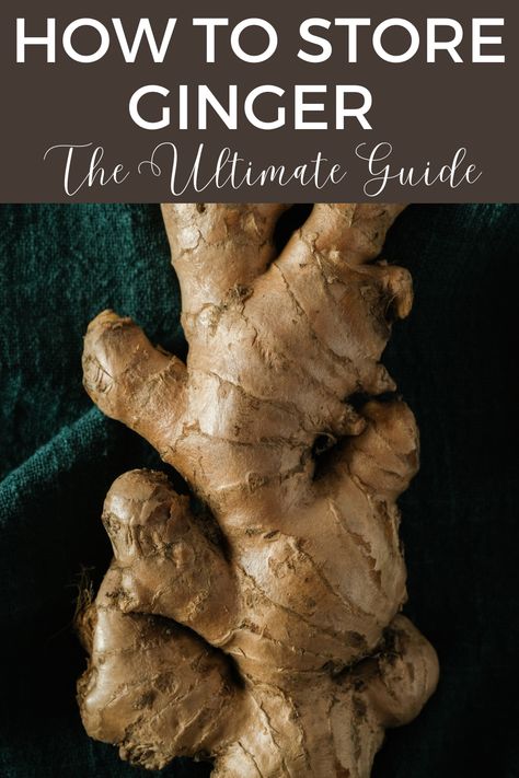 Fresh ginger root representing ginger storage and preservation. What To Make With Ginger Root, Recipes Using Fresh Ginger, How To Use Fresh Ginger, Freeze Ginger, Fresh Ginger Uses, Preserving Ginger Root, How To Use Ginger, Preserving Ginger, Freezing Ginger