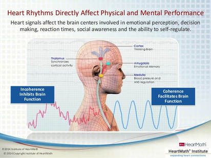 Heart Coherence, Heart Connection, Pemf Therapy, Earth's Magnetic Field, Heart Diseases, Heart Rhythms, Autonomic Nervous System, Brain And Heart, Social Awareness