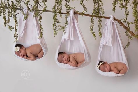 Newborn Triplets Photography, Triplet Birth Announcement, Nursery Triplets, Triplet Nursery Ideas, Triplet Announcement, Triplets Babies Newborns, Triplet Nursery, Triplets Aesthetic, Triplets Nursery